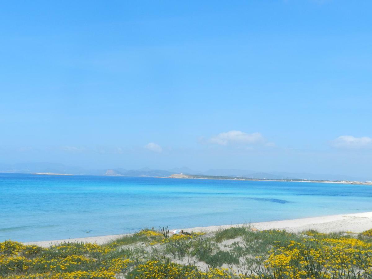 Appartement Casa Marcos à Playa Migjorn Extérieur photo